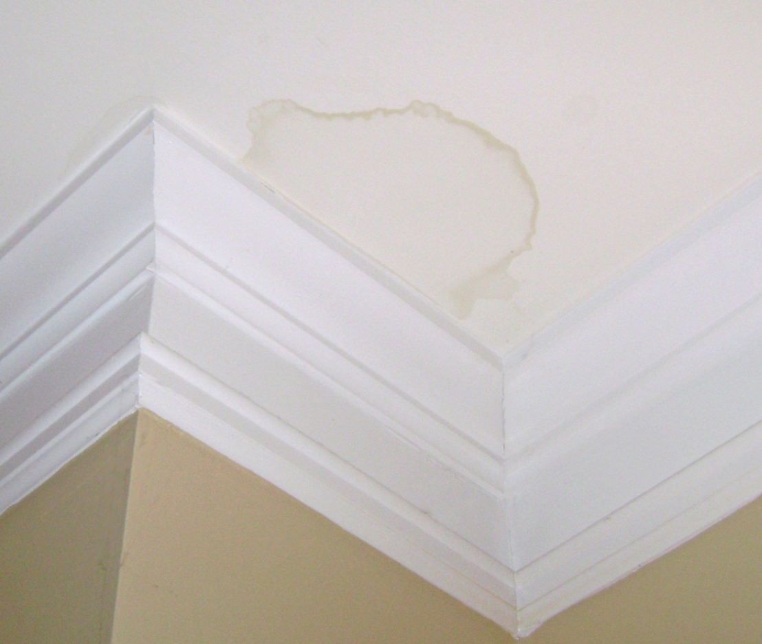 How to Find and Repair Water Leaking in the Wall